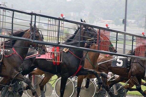 Starting Gate Investments photo